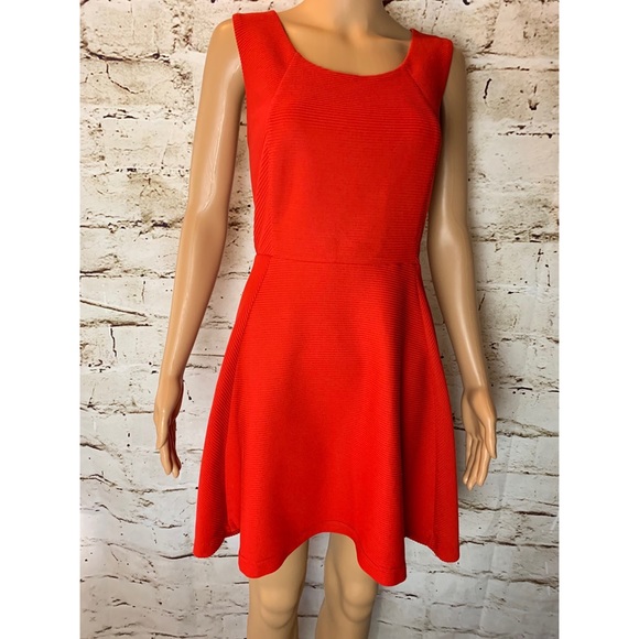 Express Red Skater Dress - Picture 5 of 6